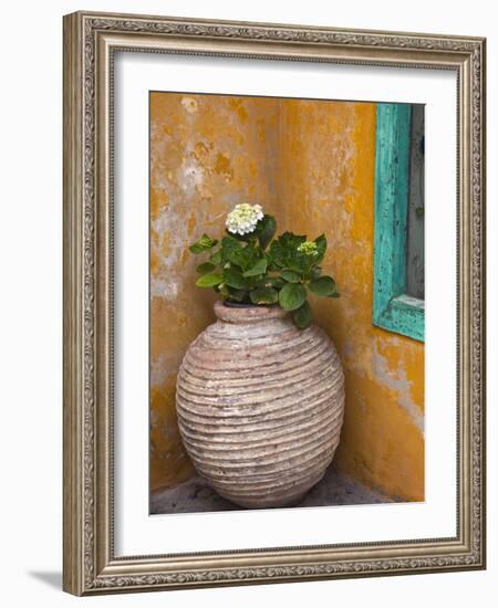 Flower in Pot, Crete, Greece-Adam Jones-Framed Photographic Print