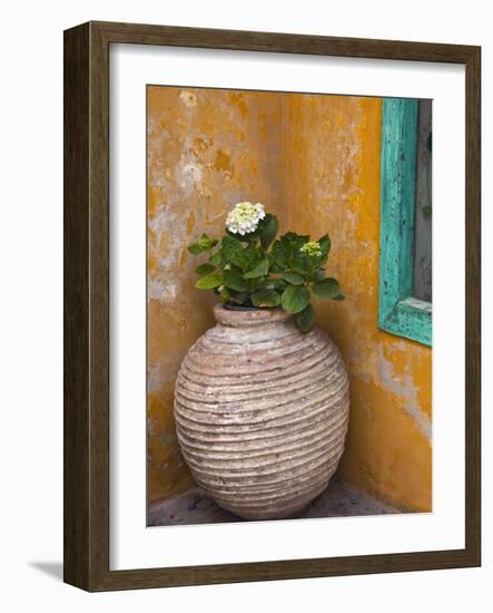 Flower in Pot, Crete, Greece-Adam Jones-Framed Photographic Print