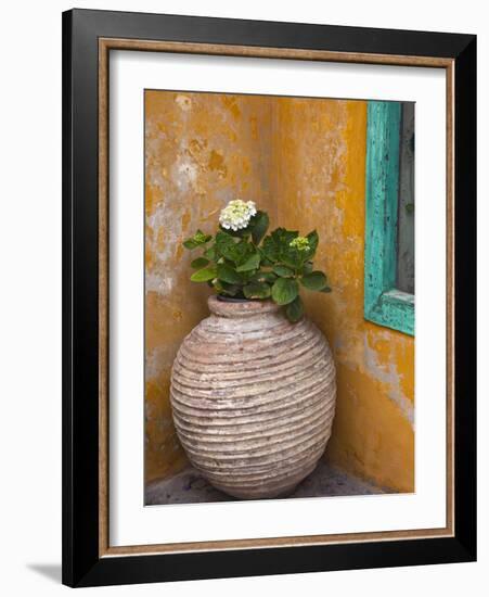 Flower in Pot, Crete, Greece-Adam Jones-Framed Photographic Print