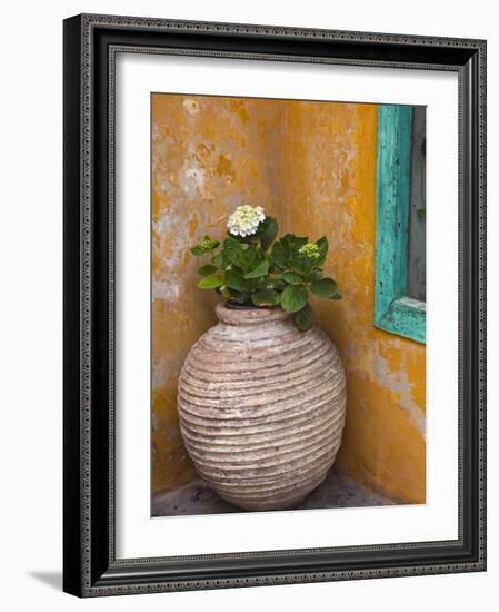 Flower in Pot, Crete, Greece-Adam Jones-Framed Photographic Print