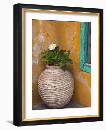 Flower in Pot, Crete, Greece-Adam Jones-Framed Photographic Print