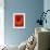 Flower in Red-Johan Lilja-Framed Giclee Print displayed on a wall