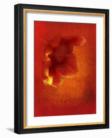 Flower in Red-Johan Lilja-Framed Giclee Print