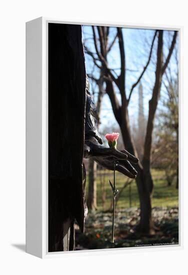 Flower in Statue's Hand Washington DC-null-Framed Stretched Canvas