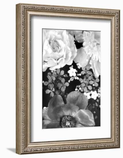 Flower in the Water, B/W, Close-Up-Alaya Gadeh-Framed Photographic Print