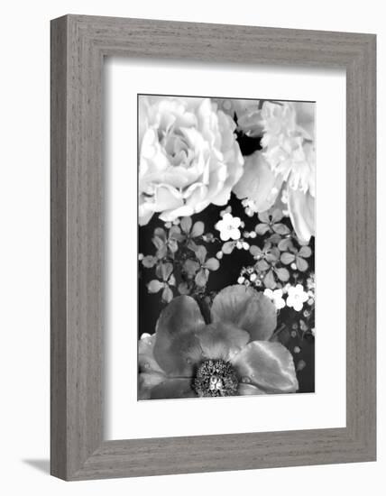 Flower in the Water, B/W, Close-Up-Alaya Gadeh-Framed Photographic Print