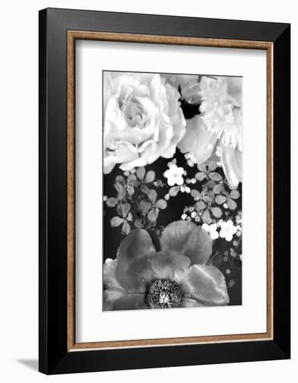 Flower in the Water, B/W, Close-Up-Alaya Gadeh-Framed Photographic Print