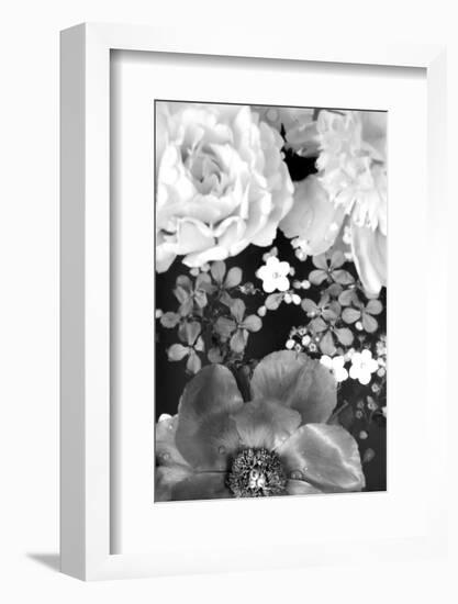 Flower in the Water, B/W, Close-Up-Alaya Gadeh-Framed Photographic Print