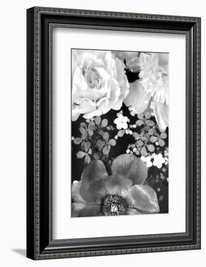 Flower in the Water, B/W, Close-Up-Alaya Gadeh-Framed Photographic Print