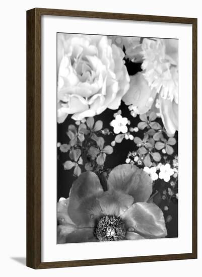 Flower in the Water, B/W, Close-Up-Alaya Gadeh-Framed Photographic Print