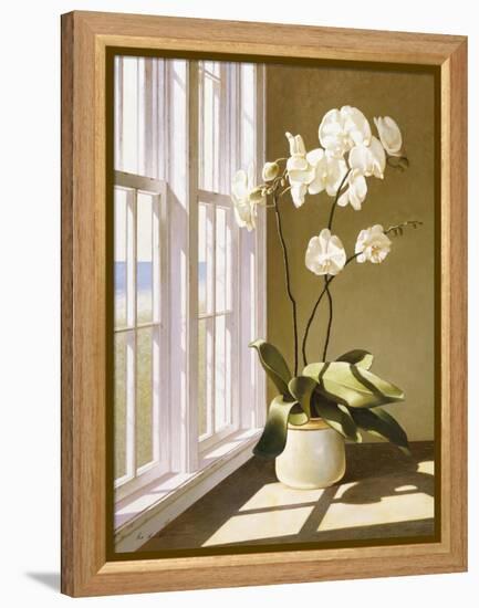 Flower In Window-Zhen-Huan Lu-Framed Premier Image Canvas