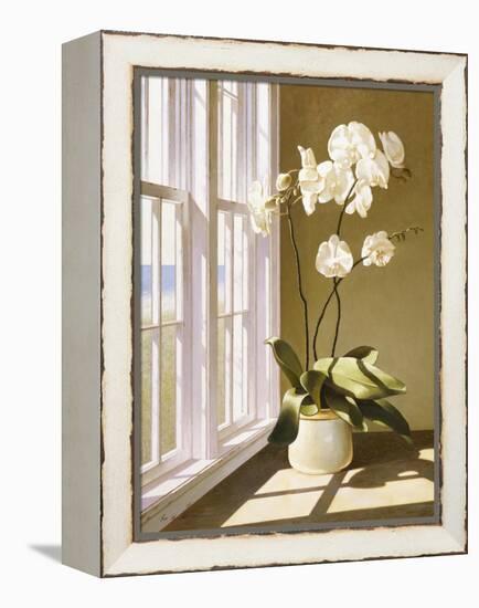 Flower In Window-Zhen-Huan Lu-Framed Premier Image Canvas