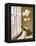 Flower In Window-Zhen-Huan Lu-Framed Premier Image Canvas