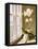 Flower In Window-Zhen-Huan Lu-Framed Premier Image Canvas