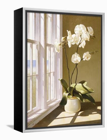 Flower In Window-Zhen-Huan Lu-Framed Premier Image Canvas