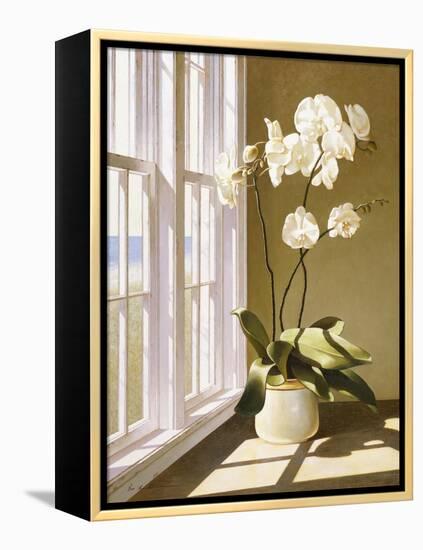 Flower In Window-Zhen-Huan Lu-Framed Premier Image Canvas