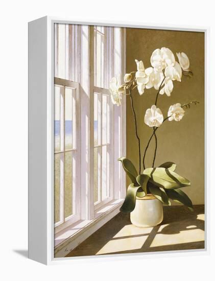 Flower In Window-Zhen-Huan Lu-Framed Premier Image Canvas