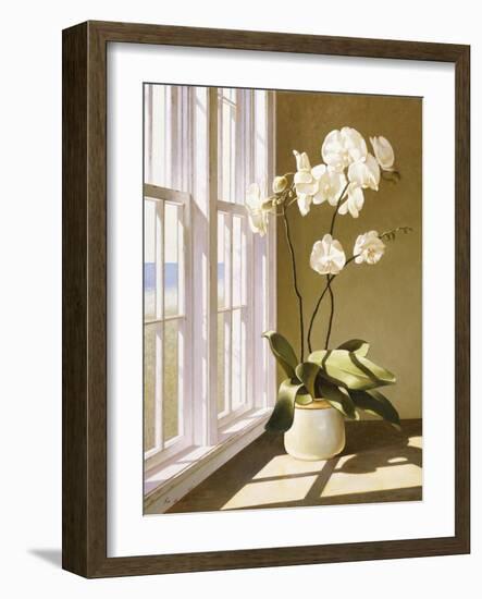 Flower In Window-Zhen-Huan Lu-Framed Giclee Print