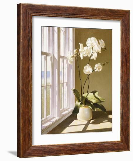 Flower In Window-Zhen-Huan Lu-Framed Giclee Print