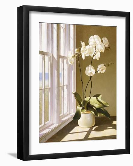 Flower In Window-Zhen-Huan Lu-Framed Giclee Print