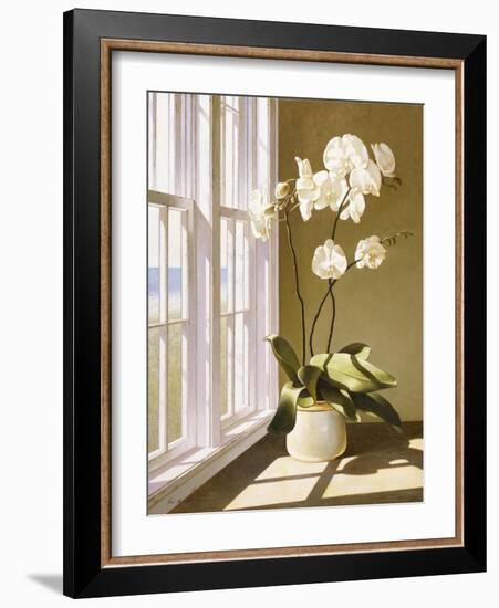 Flower In Window-Zhen-Huan Lu-Framed Giclee Print