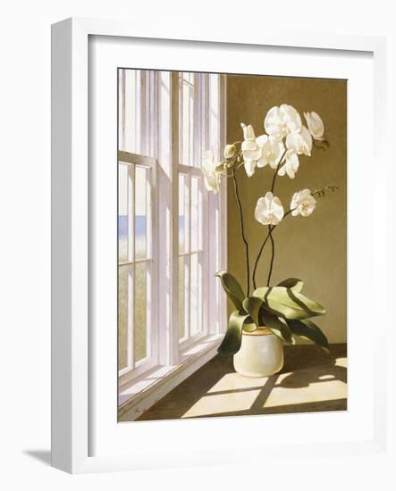 Flower In Window-Zhen-Huan Lu-Framed Giclee Print