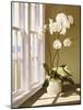 Flower In Window-Zhen-Huan Lu-Mounted Giclee Print