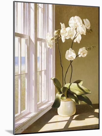 Flower In Window-Zhen-Huan Lu-Mounted Giclee Print