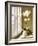 Flower In Window-Zhen-Huan Lu-Framed Giclee Print