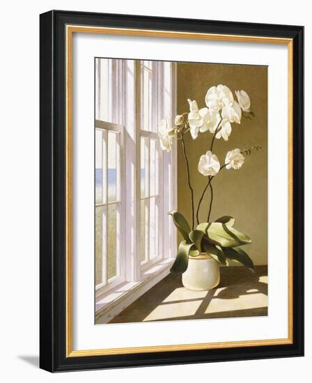 Flower In Window-Zhen-Huan Lu-Framed Giclee Print