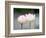 Flower, Kyoto, Japan-Shin Terada-Framed Photographic Print