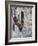 Flower-Lined Stairway, Petroio, Italy-Dennis Flaherty-Framed Photographic Print