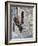 Flower-Lined Stairway, Petroio, Italy-Dennis Flaherty-Framed Photographic Print