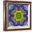 Flower Mandala, Photograph, Layer Work-Alaya Gadeh-Framed Photographic Print