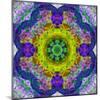 Flower Mandala, Photograph, Layer Work-Alaya Gadeh-Mounted Photographic Print