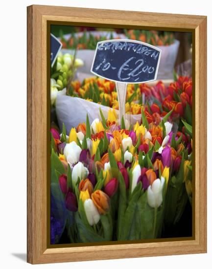 Flower Market, Amsterdam, Netherlands-Neil Farrin-Framed Premier Image Canvas