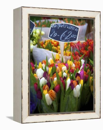 Flower Market, Amsterdam, Netherlands-Neil Farrin-Framed Premier Image Canvas