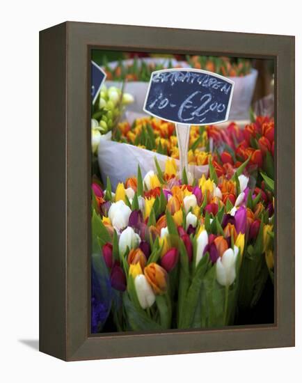 Flower Market, Amsterdam, Netherlands-Neil Farrin-Framed Premier Image Canvas