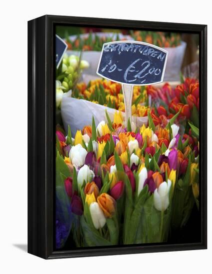 Flower Market, Amsterdam, Netherlands-Neil Farrin-Framed Premier Image Canvas