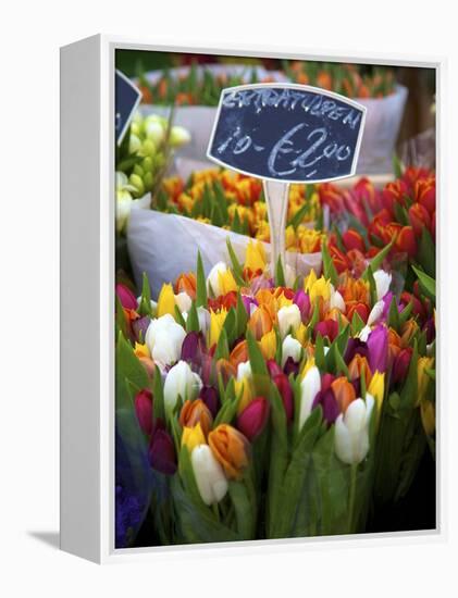 Flower Market, Amsterdam, Netherlands-Neil Farrin-Framed Premier Image Canvas