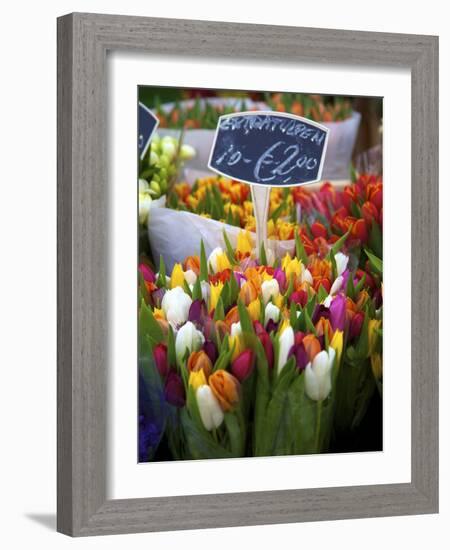 Flower Market, Amsterdam, Netherlands-Neil Farrin-Framed Photographic Print