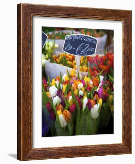 Flower Market, Amsterdam, Netherlands-Neil Farrin-Framed Photographic Print