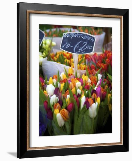 Flower Market, Amsterdam, Netherlands-Neil Farrin-Framed Photographic Print