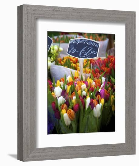 Flower Market, Amsterdam, Netherlands-Neil Farrin-Framed Photographic Print