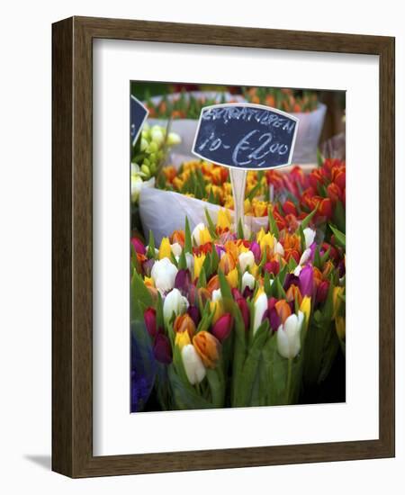 Flower Market, Amsterdam, Netherlands-Neil Farrin-Framed Photographic Print