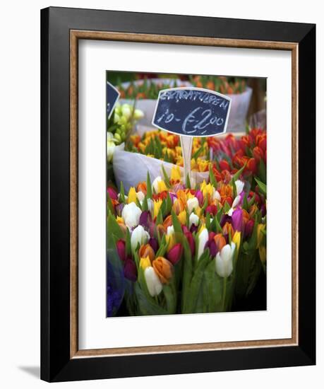 Flower Market, Amsterdam, Netherlands-Neil Farrin-Framed Photographic Print