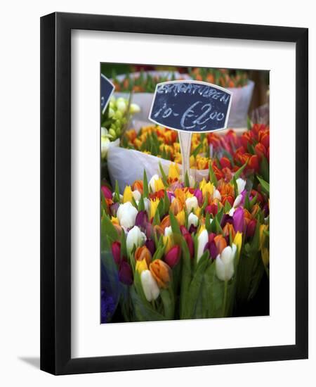 Flower Market, Amsterdam, Netherlands-Neil Farrin-Framed Photographic Print