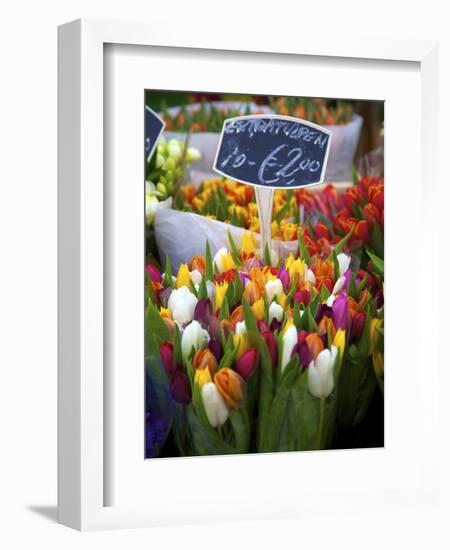 Flower Market, Amsterdam, Netherlands-Neil Farrin-Framed Photographic Print