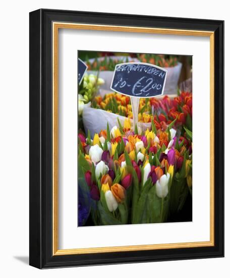 Flower Market, Amsterdam, Netherlands-Neil Farrin-Framed Photographic Print