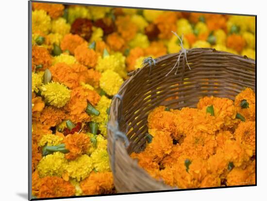 Flower Market, Calcutta, West Bengal, India-Peter Adams-Mounted Photographic Print